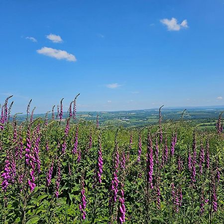 Summit Camping Kit Hill Cornwall Panoramic Views Grass Pitch From 15Pn Or Bella Bell Tent 75Pn Callington المظهر الخارجي الصورة