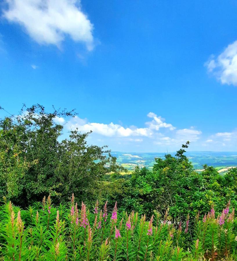 Summit Camping Kit Hill Cornwall Panoramic Views Grass Pitch From 15Pn Or Bella Bell Tent 75Pn Callington المظهر الخارجي الصورة