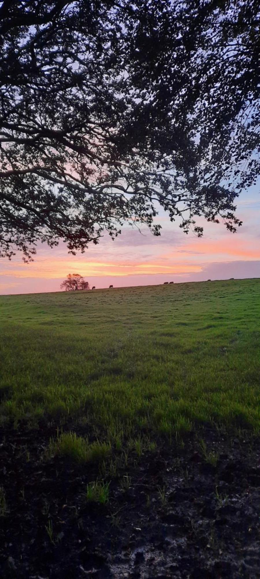 Summit Camping Kit Hill Cornwall Panoramic Views Grass Pitch From 15Pn Or Bella Bell Tent 75Pn Callington المظهر الخارجي الصورة